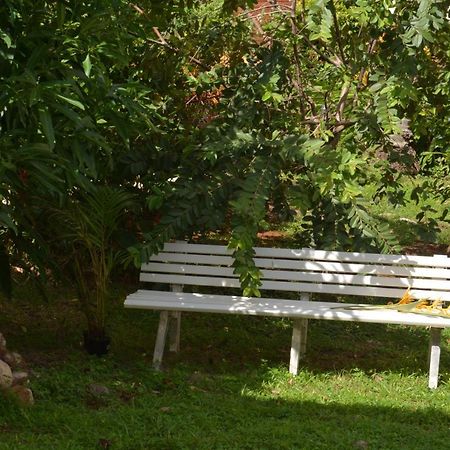 Residence De Vacances Mon Refuge - Bungalow De Type T3 Grande Anse Bagian luar foto