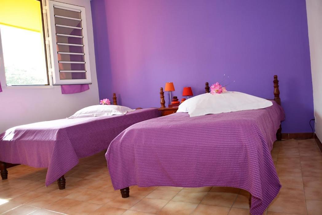 Residence De Vacances Mon Refuge - Bungalow De Type T3 Grande Anse Bagian luar foto