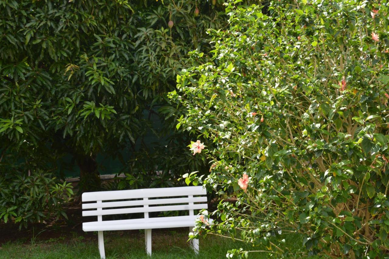Residence De Vacances Mon Refuge - Bungalow De Type T3 Grande Anse Bagian luar foto