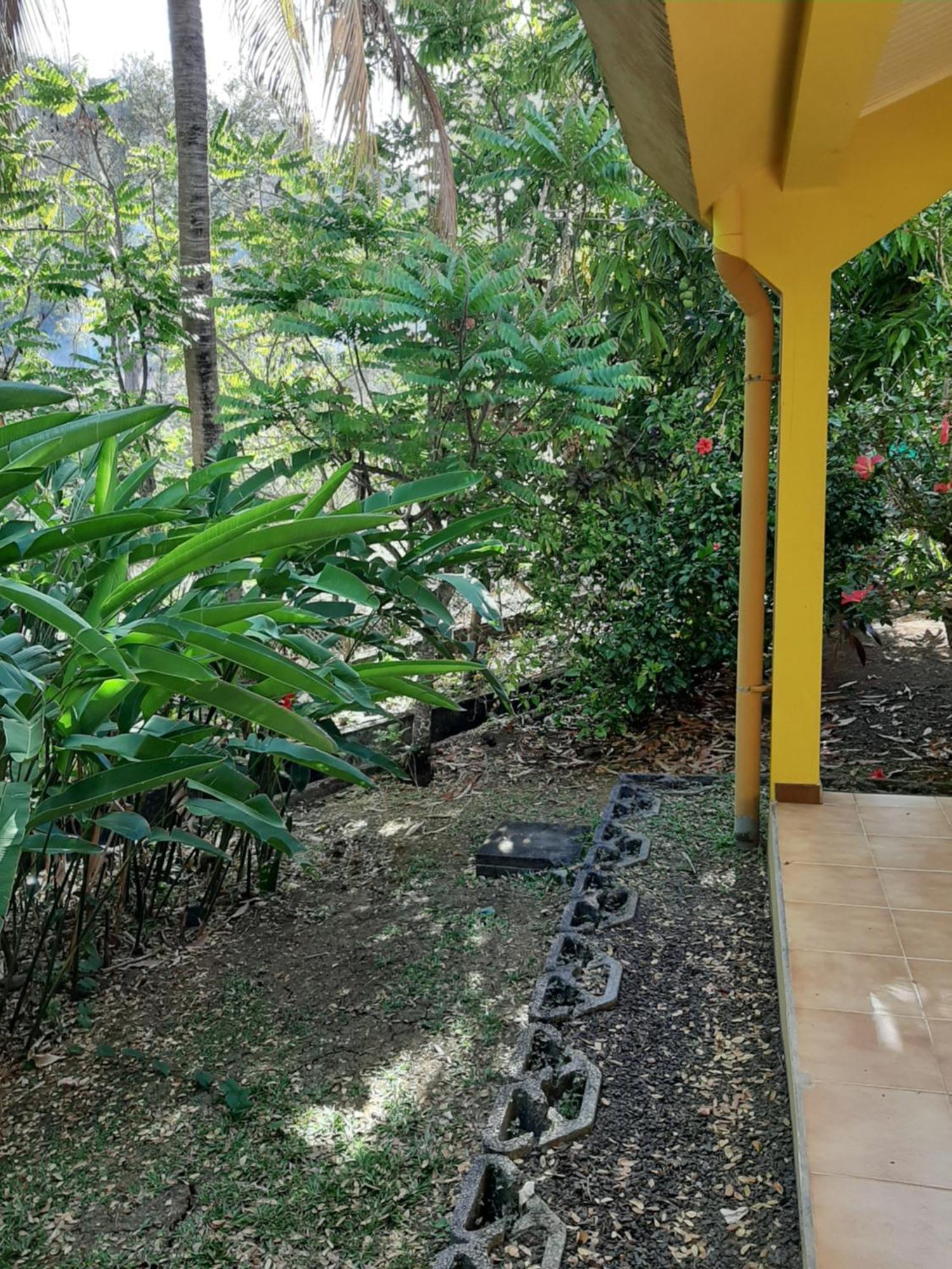 Residence De Vacances Mon Refuge - Bungalow De Type T3 Grande Anse Bagian luar foto