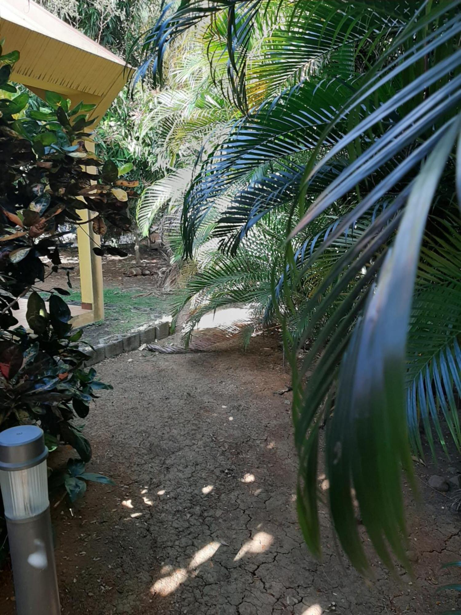 Residence De Vacances Mon Refuge - Bungalow De Type T3 Grande Anse Bagian luar foto