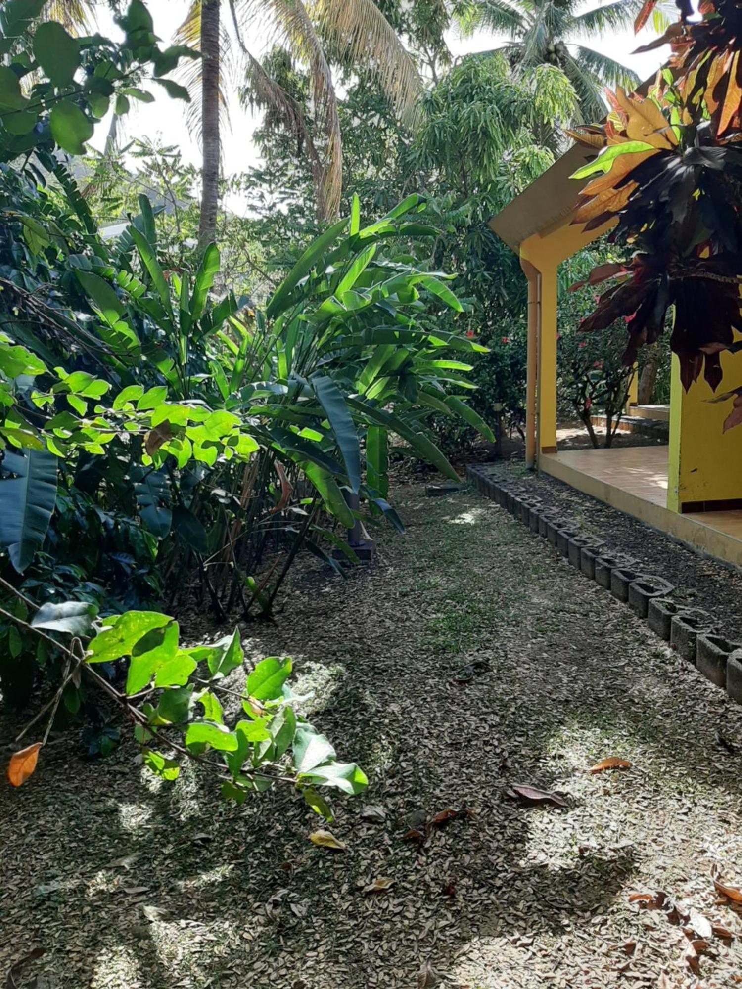 Residence De Vacances Mon Refuge - Bungalow De Type T3 Grande Anse Bagian luar foto